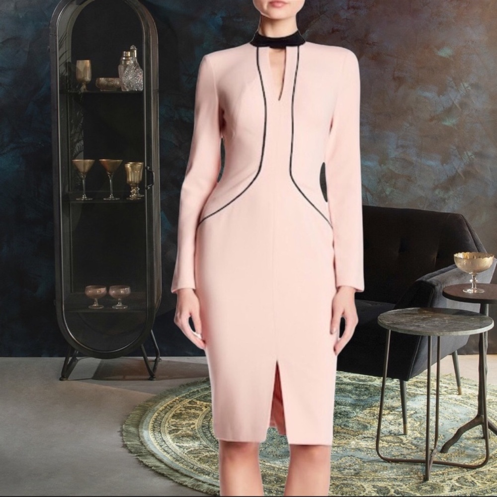 Black Halo Indiana Contrast Sheath Dress Pink and Black Size 2